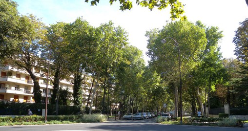 Le Boulevard d'Argenson à Neuilly-sur-Seine, une des ambiances marquées de la plaine de Villiers  en grand format (nouvelle fenêtre)