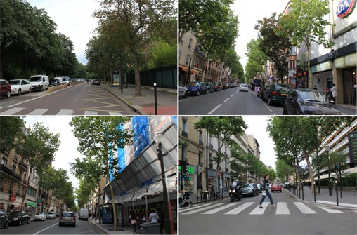 Alignements d'arbres, Boulogne-Billancourt  en grand format (nouvelle fenêtre)