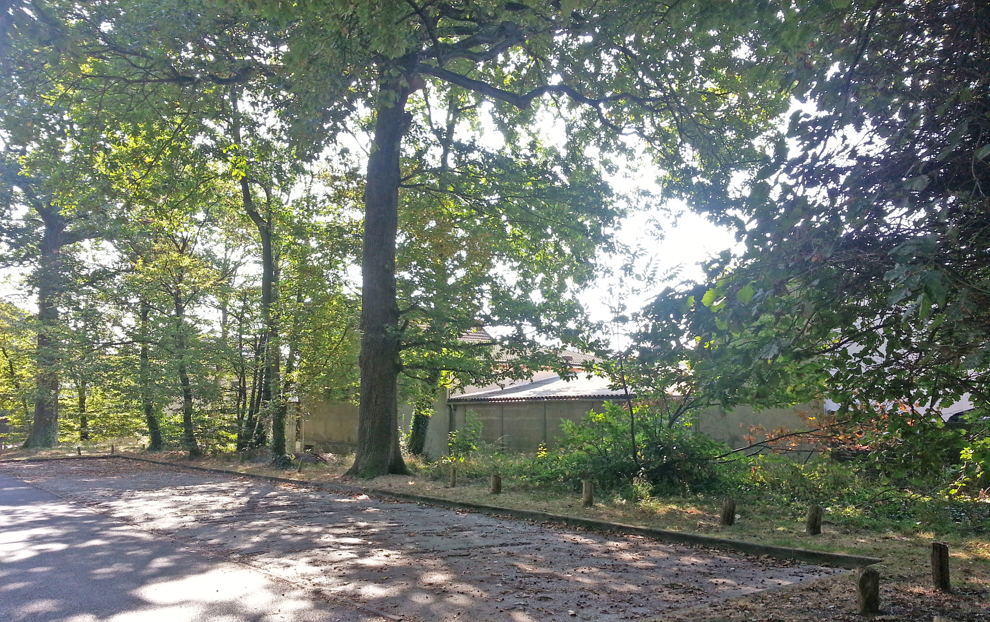 Clamart, au contact du bois et du quartier