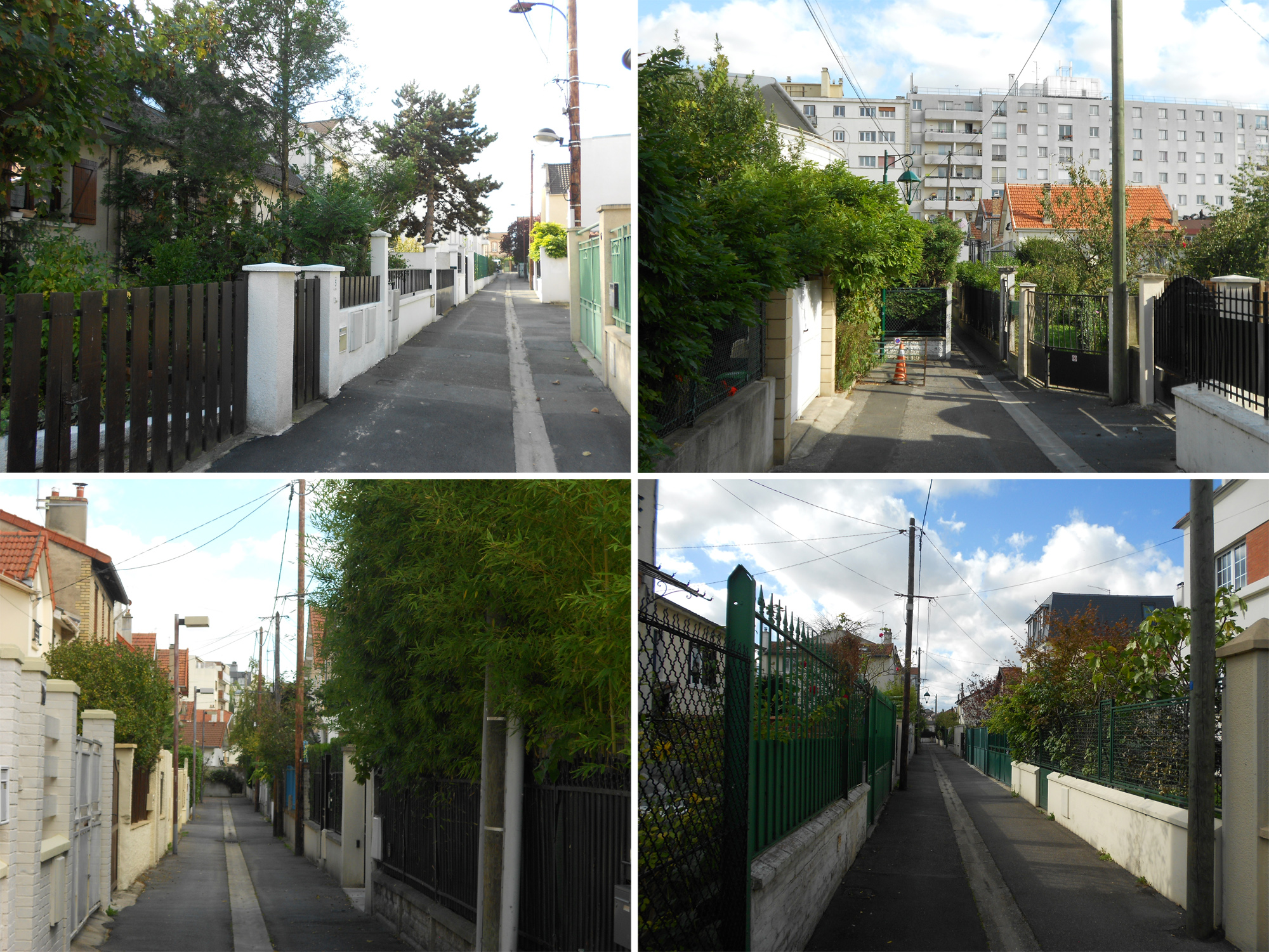 Les petites avenues