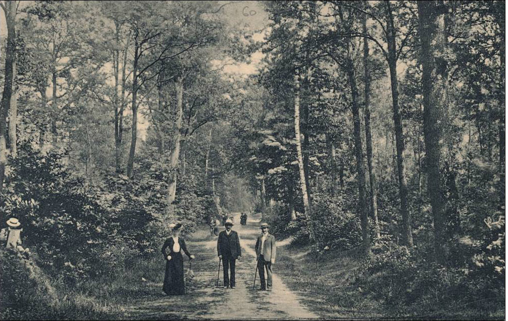 Le bois de Clamart, carte postale, collection particulière