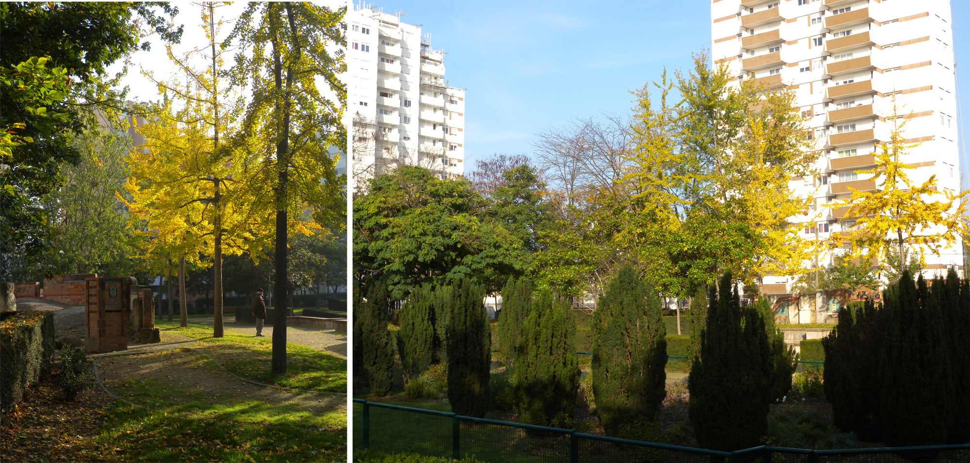 Gennevilliers, cité du Luth