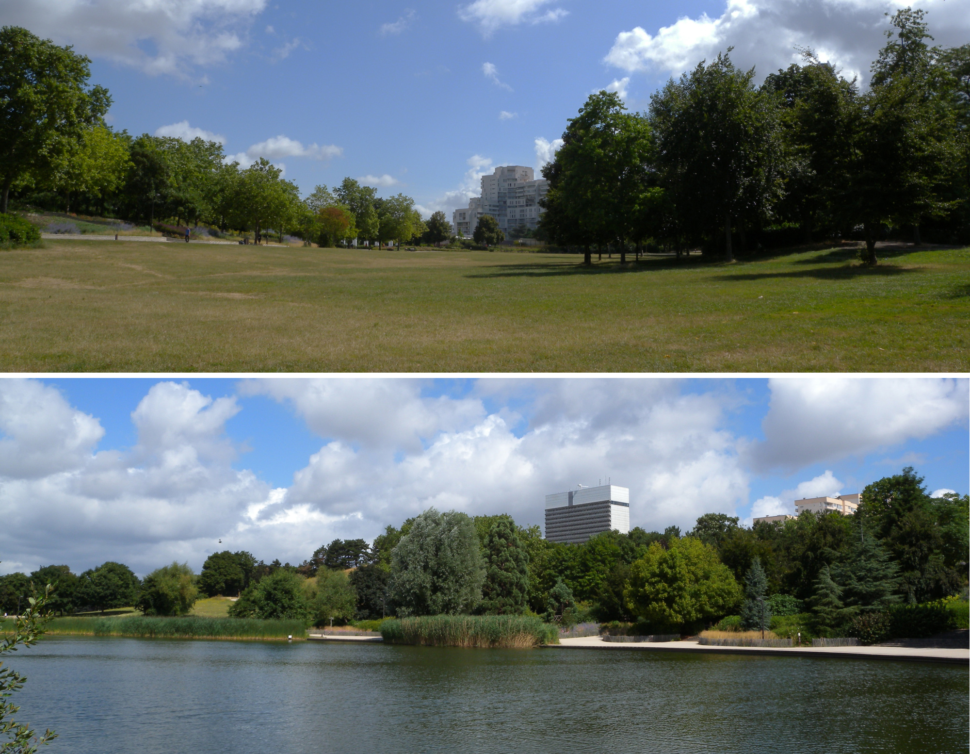 Nanterre, ambiances dans le parc André Malraux 