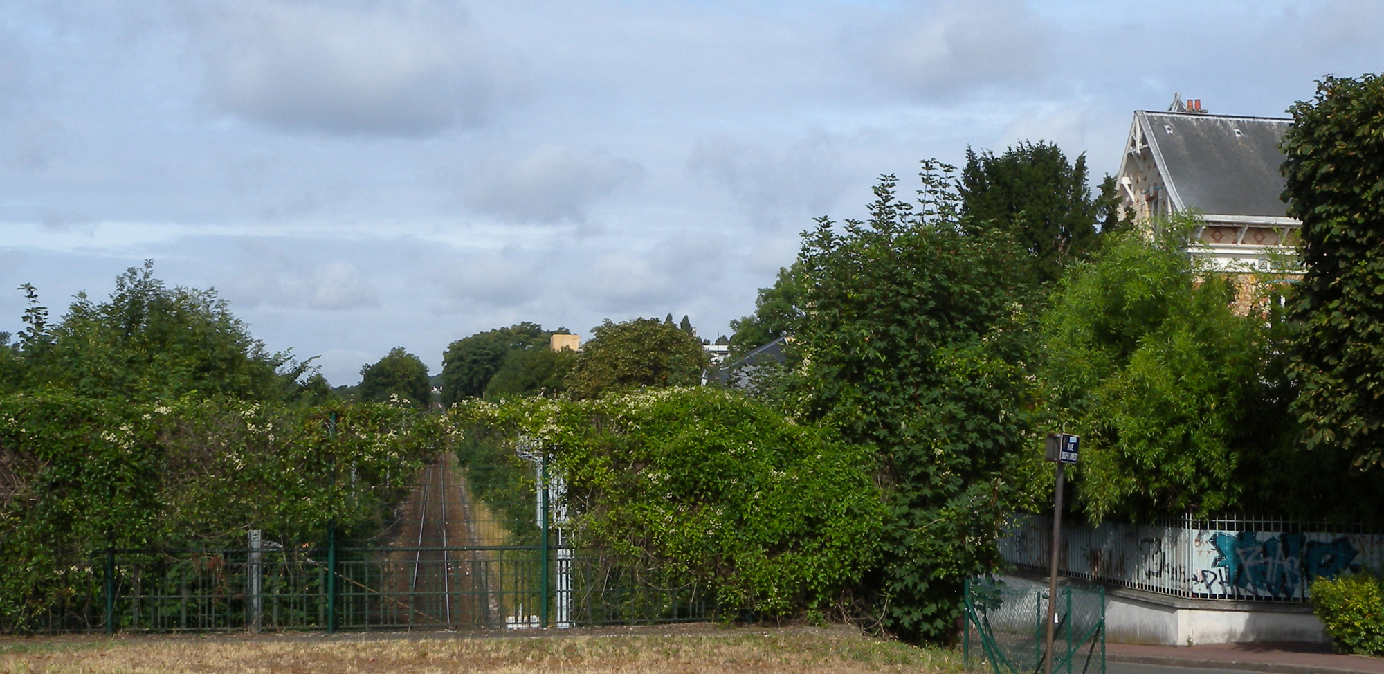 Parc de Saint-Cloud : depuis la route départementale 985