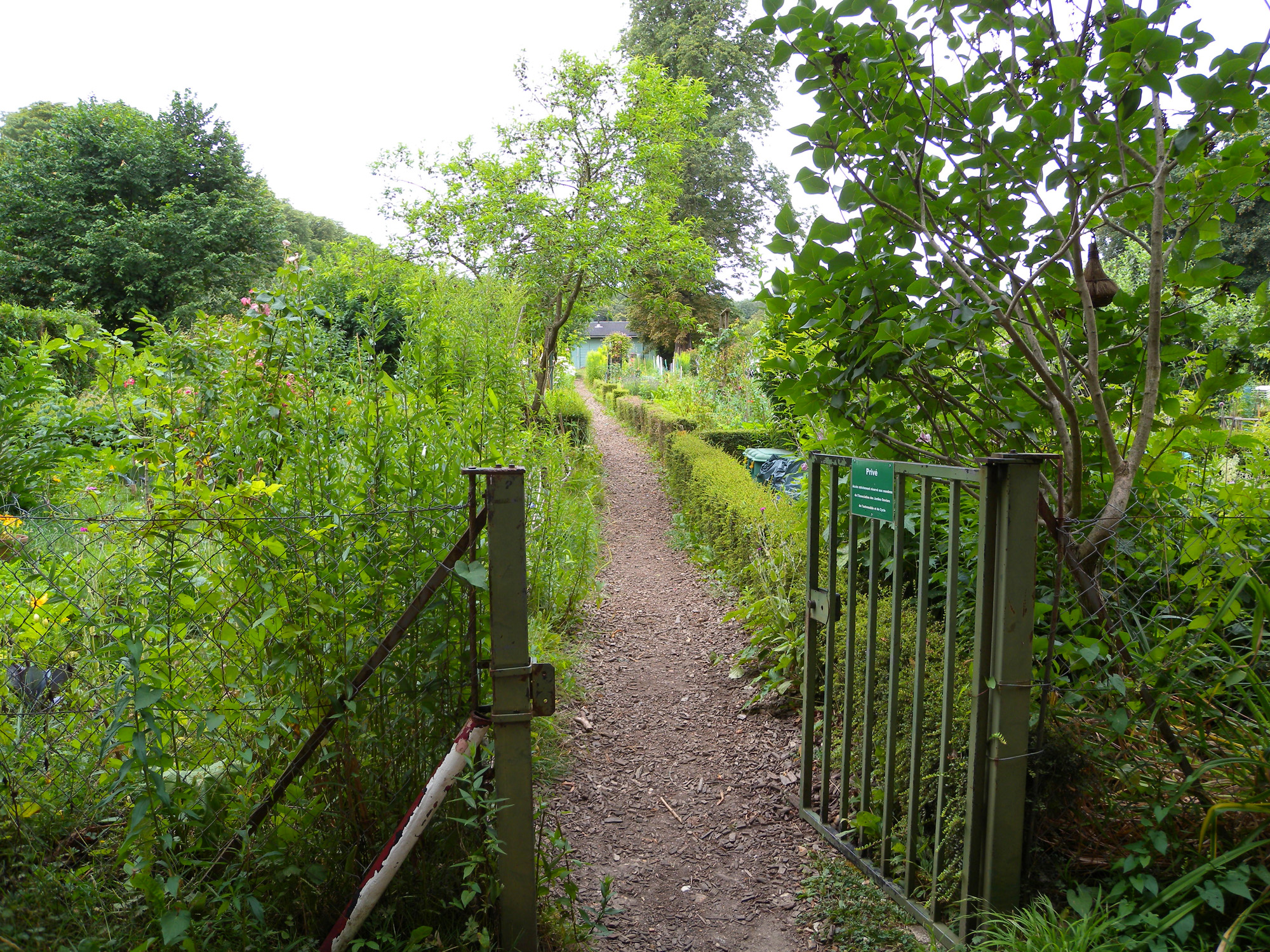 Jardins familiaux