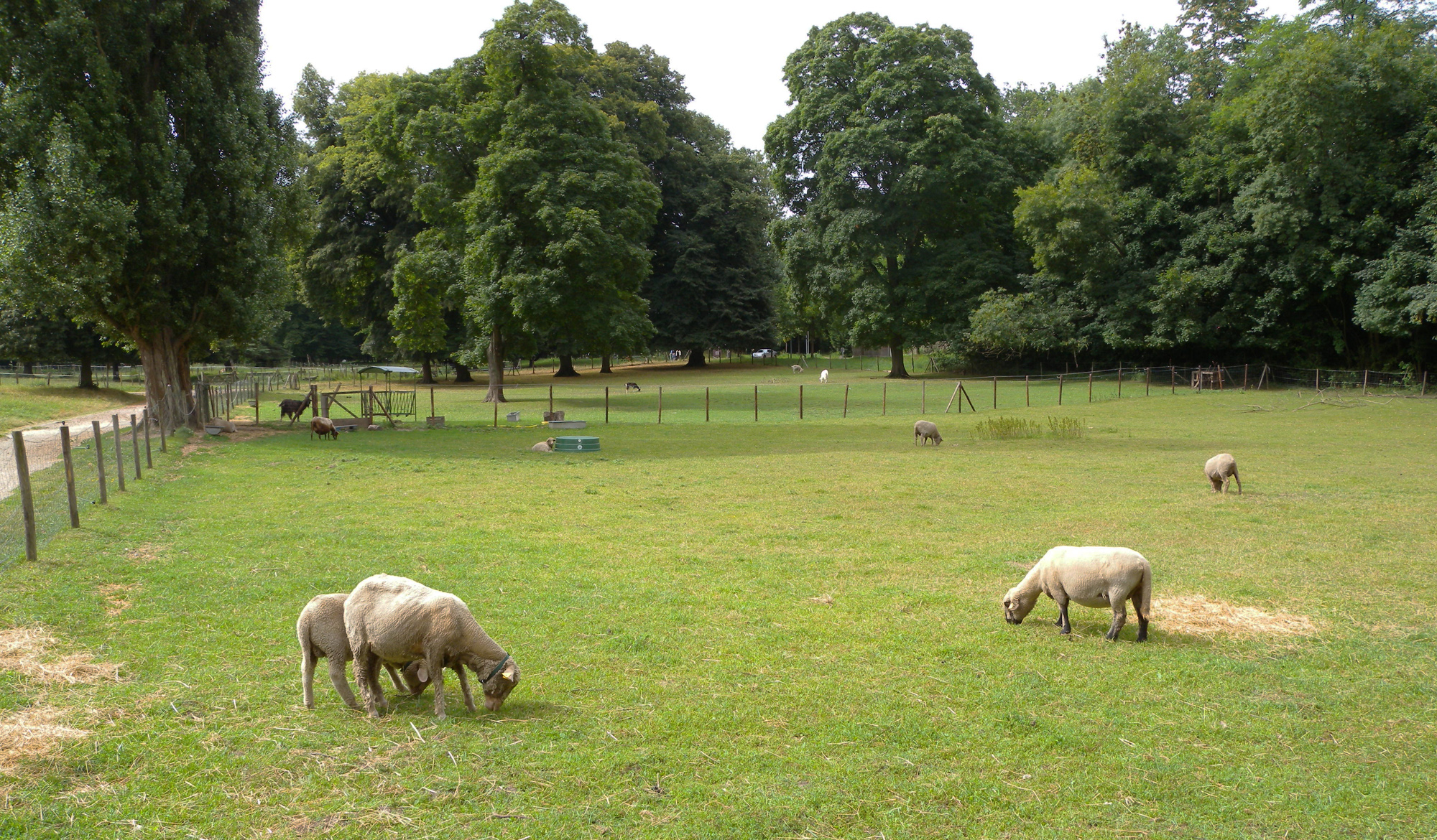 Parc de Saint-Cloud, la Ferme