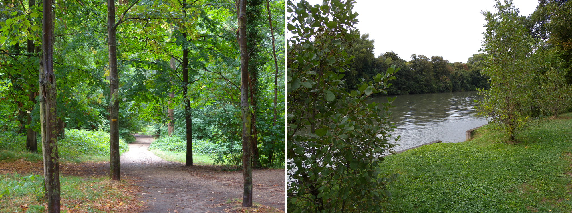 PNU de la Malmaison, forêt de la Malmaison et berges de la Seine