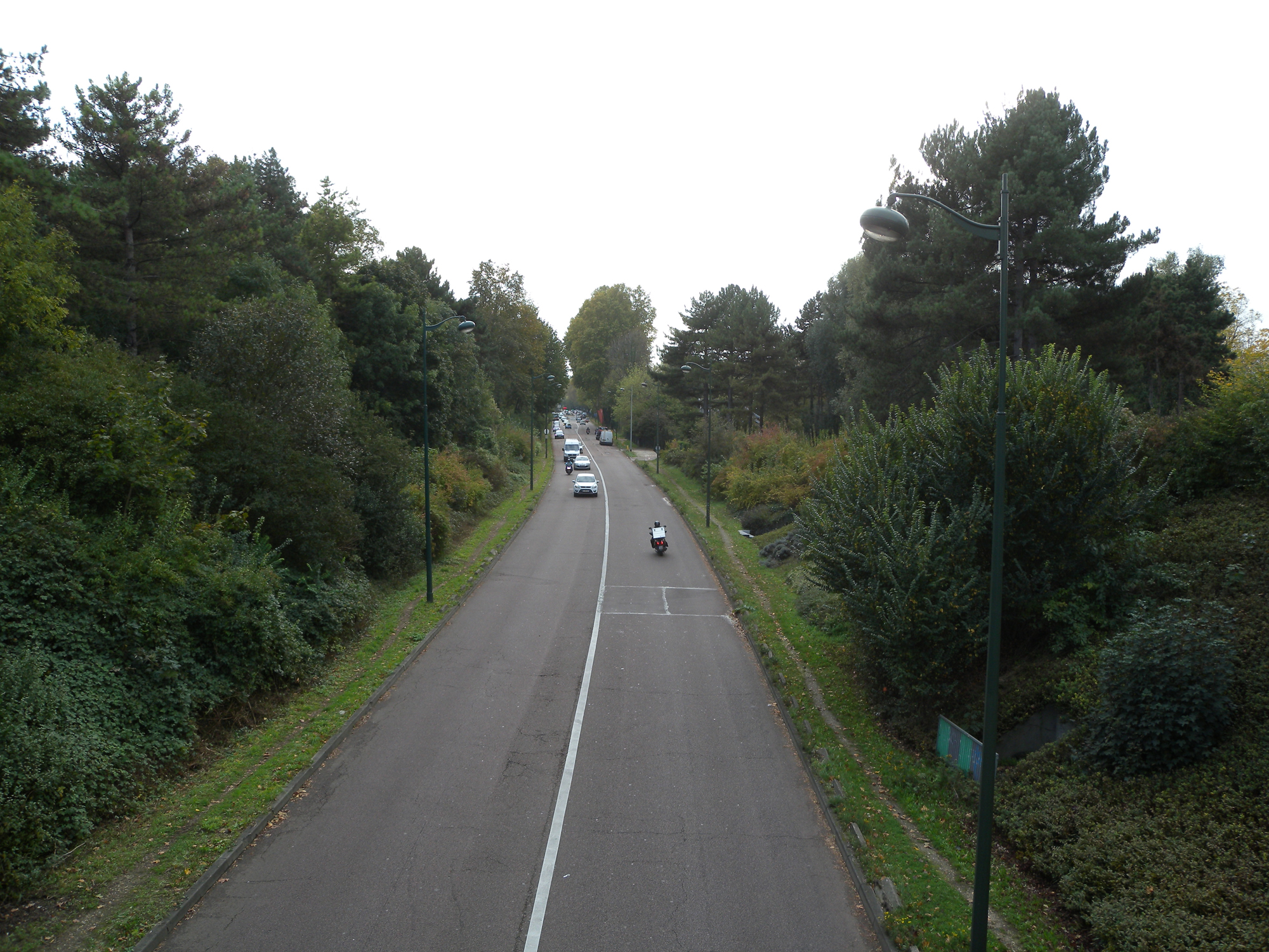 La RD1, sur la rive opposée, Paris, Bois de Boulogne