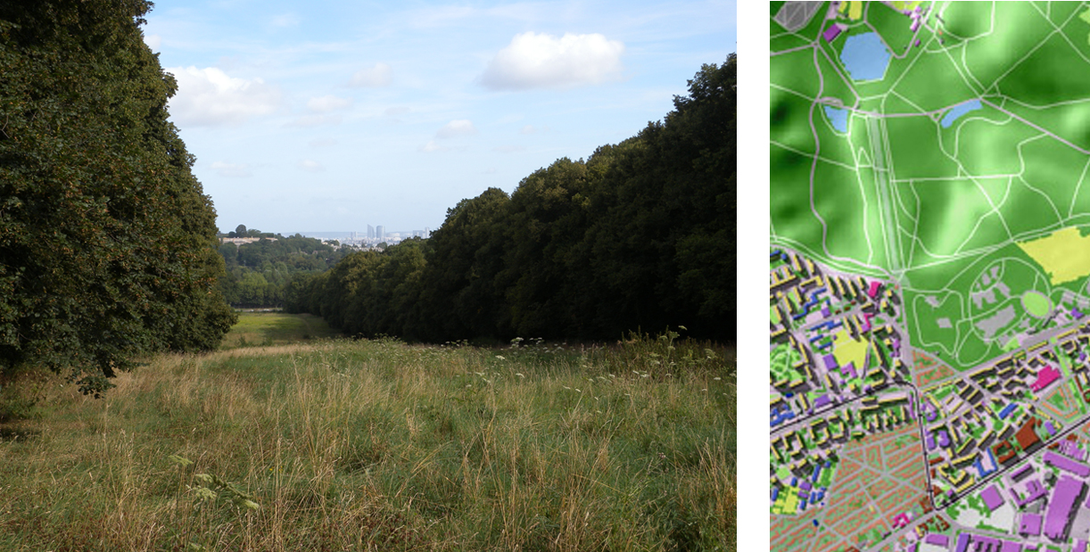 Le tapis vert de Meudon
