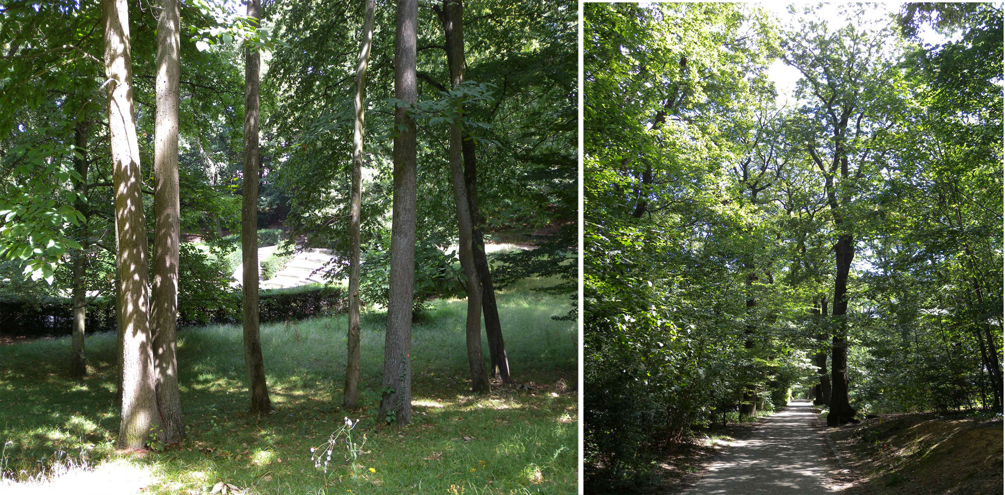 Parc Henri Sellier