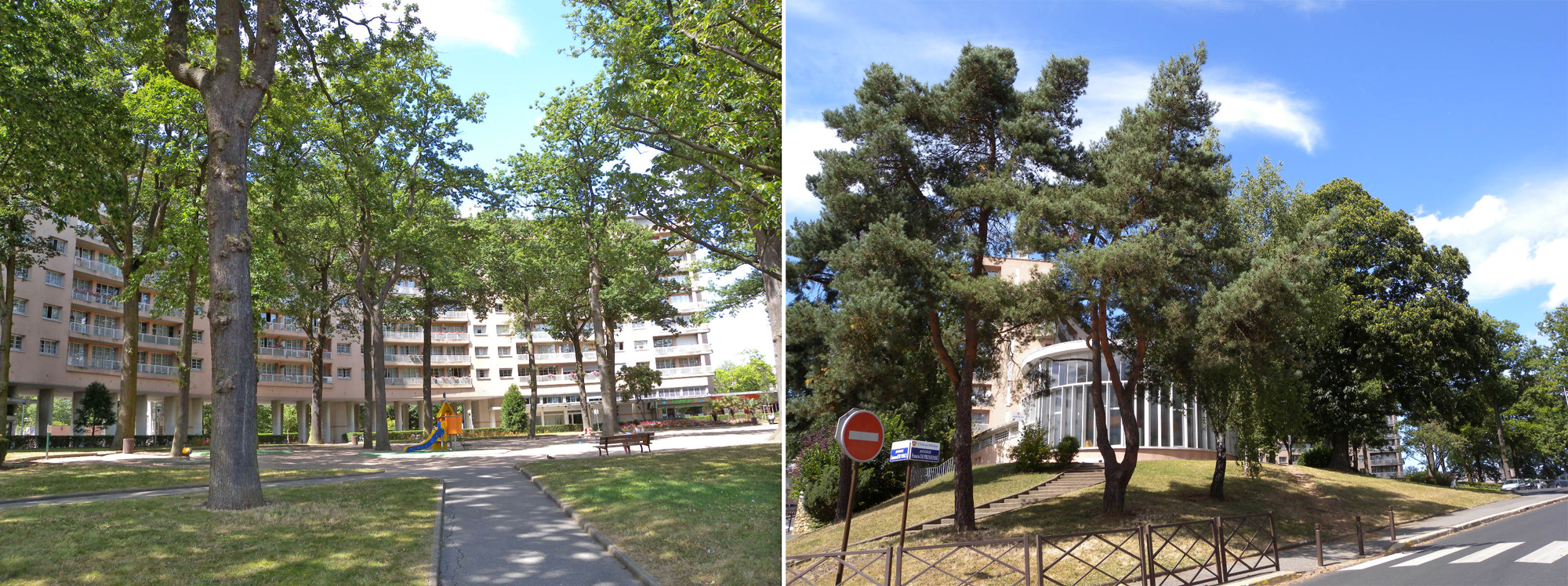 Le dialogue des arbres et de l’architecture