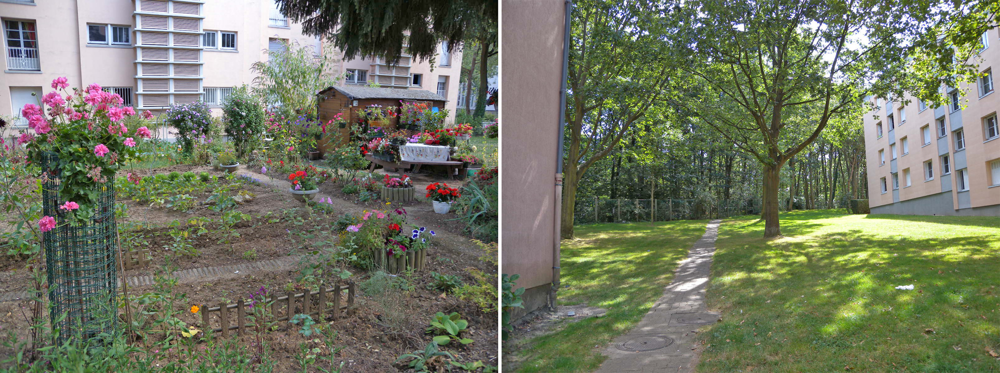 Potagers, forêt