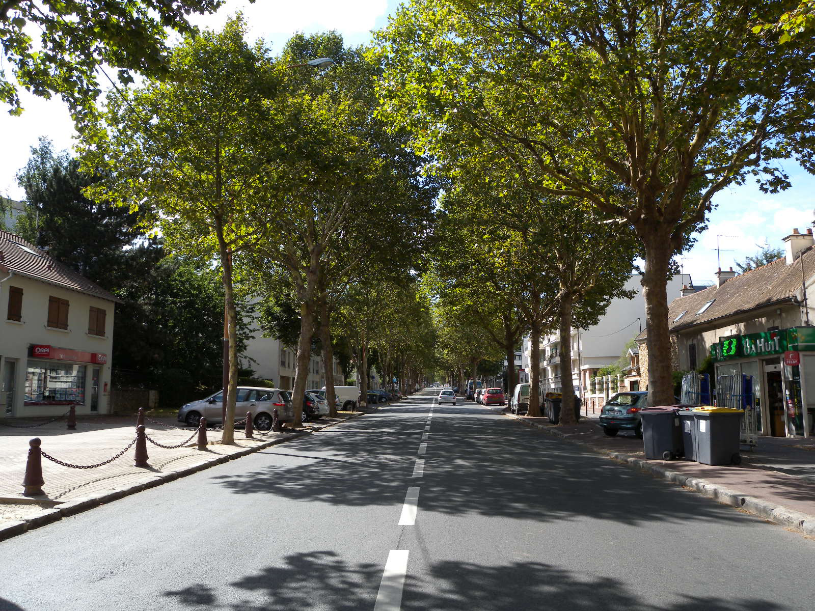 Une avenue de Châtenay-Malabry 