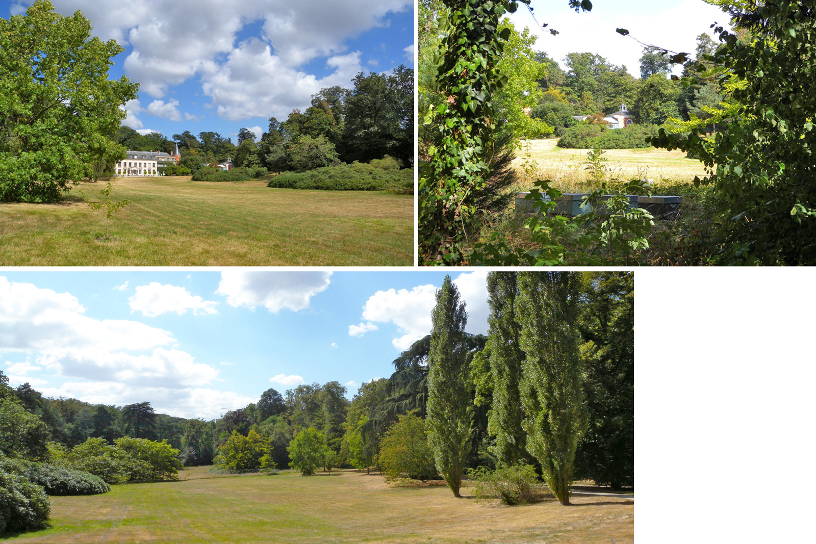 Parc de la maison de Chateaubriand