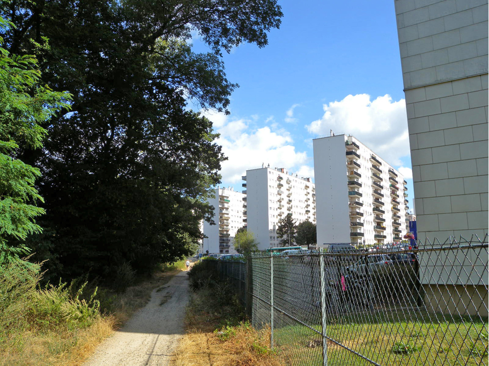 Lisière à Meudon-la-Forêt