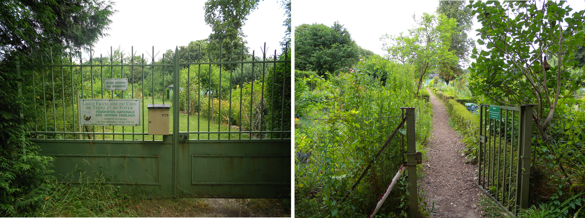 Parc de Saint-Cloud, jardin potager