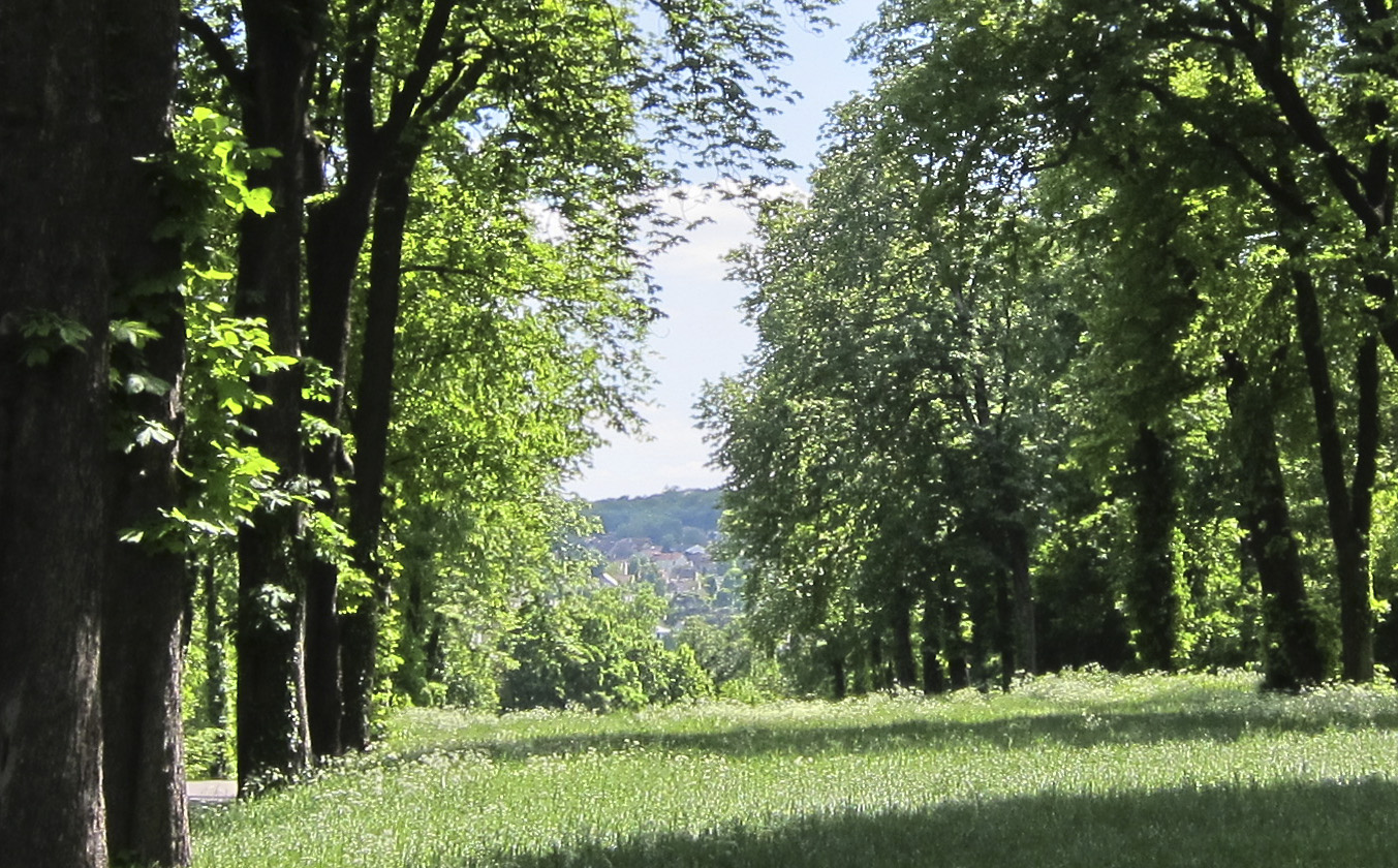 Sèvres et la vallée du Marivel vus depuis le parc de Saint-Cloud