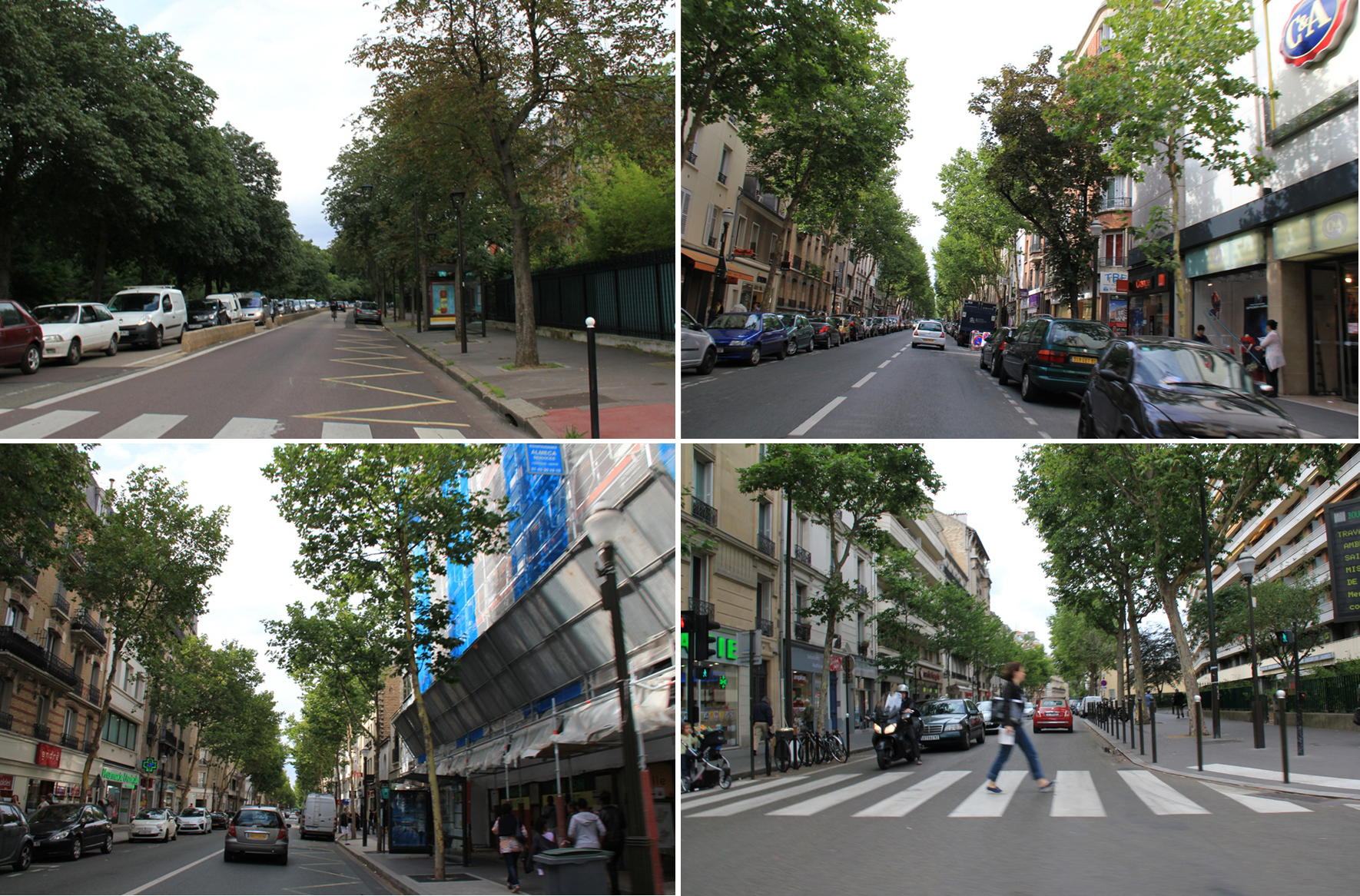 Alignements d'arbres, Boulogne-Billancourt