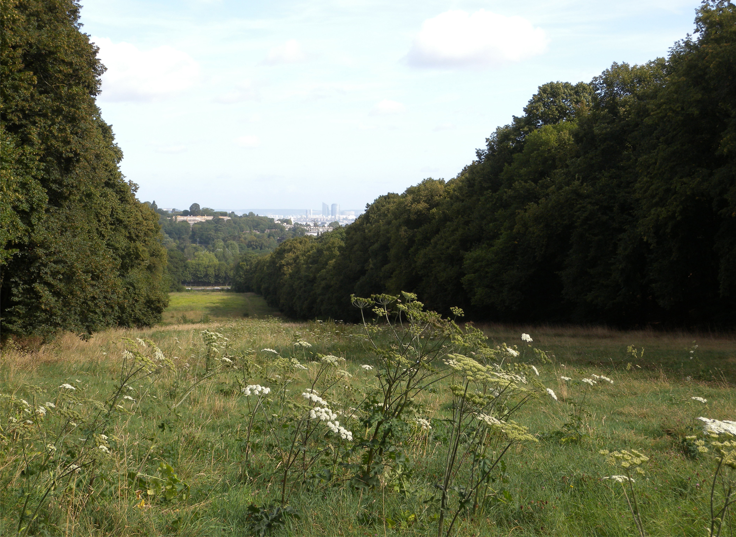 Le tapis vert de Meudon depuis Clamart