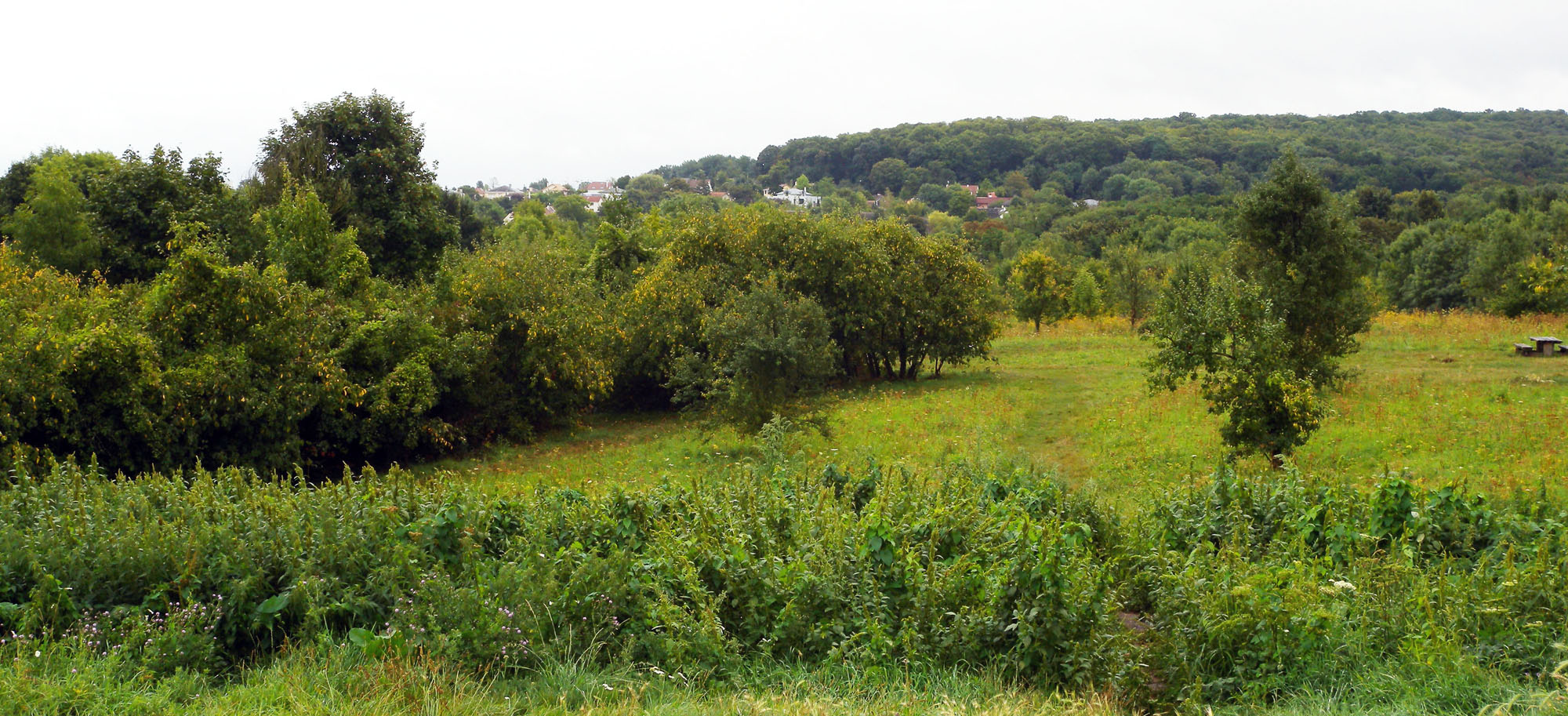 Parc naturel urbain à Rueil-Malmaison