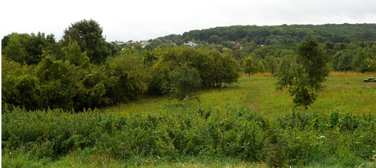 Parc naturel urbain, vallon des Gallicourts