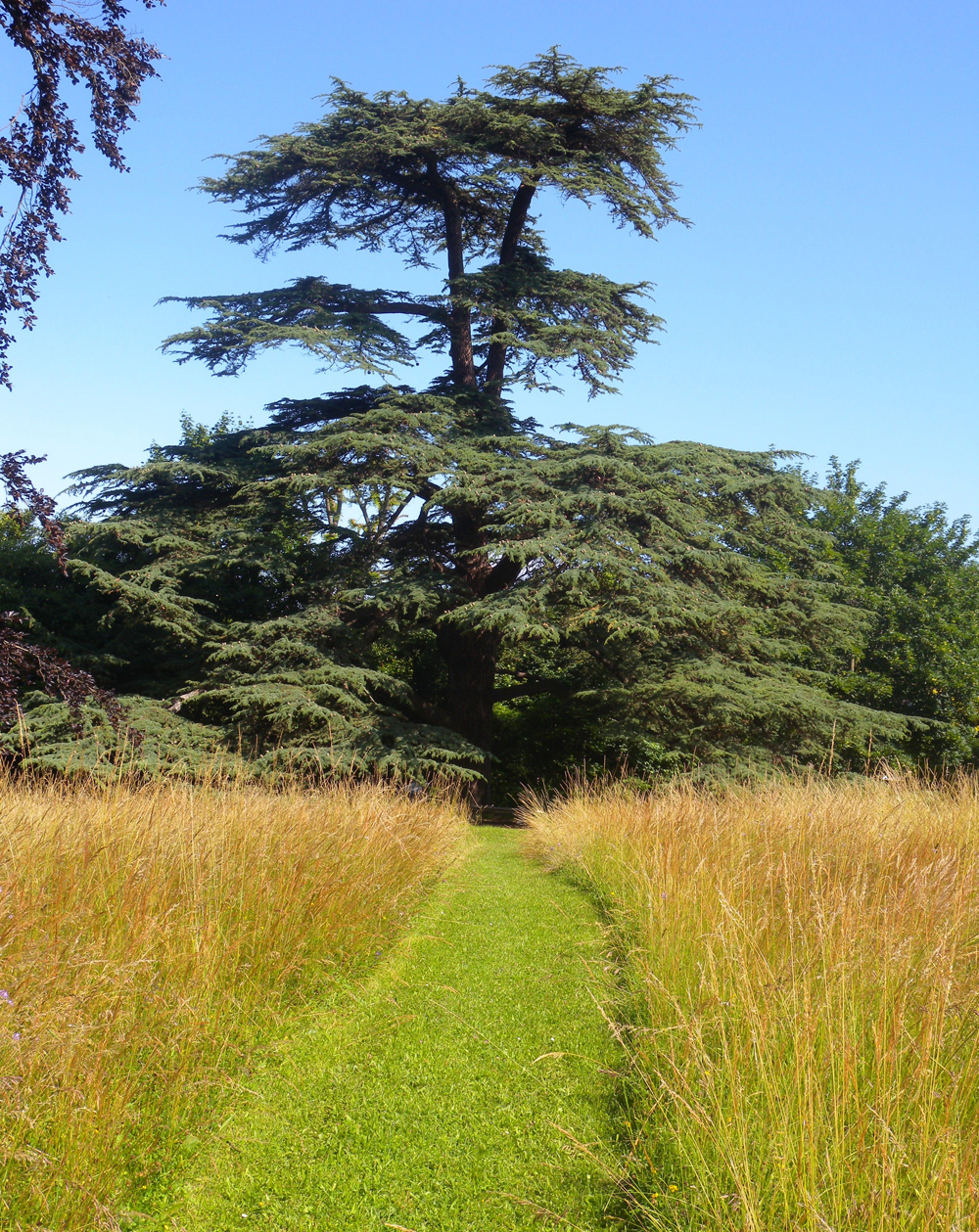 Parc de la Malmaison, Rueil-Malmaison