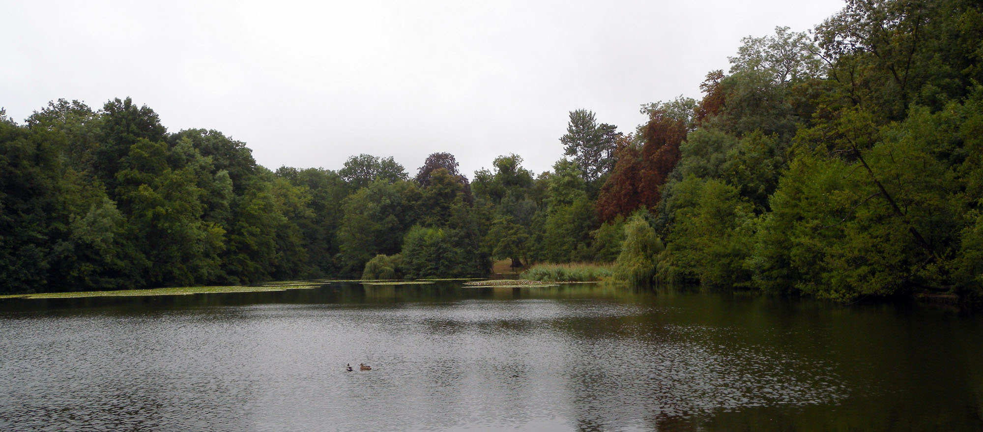 Forêt de la Malmaison