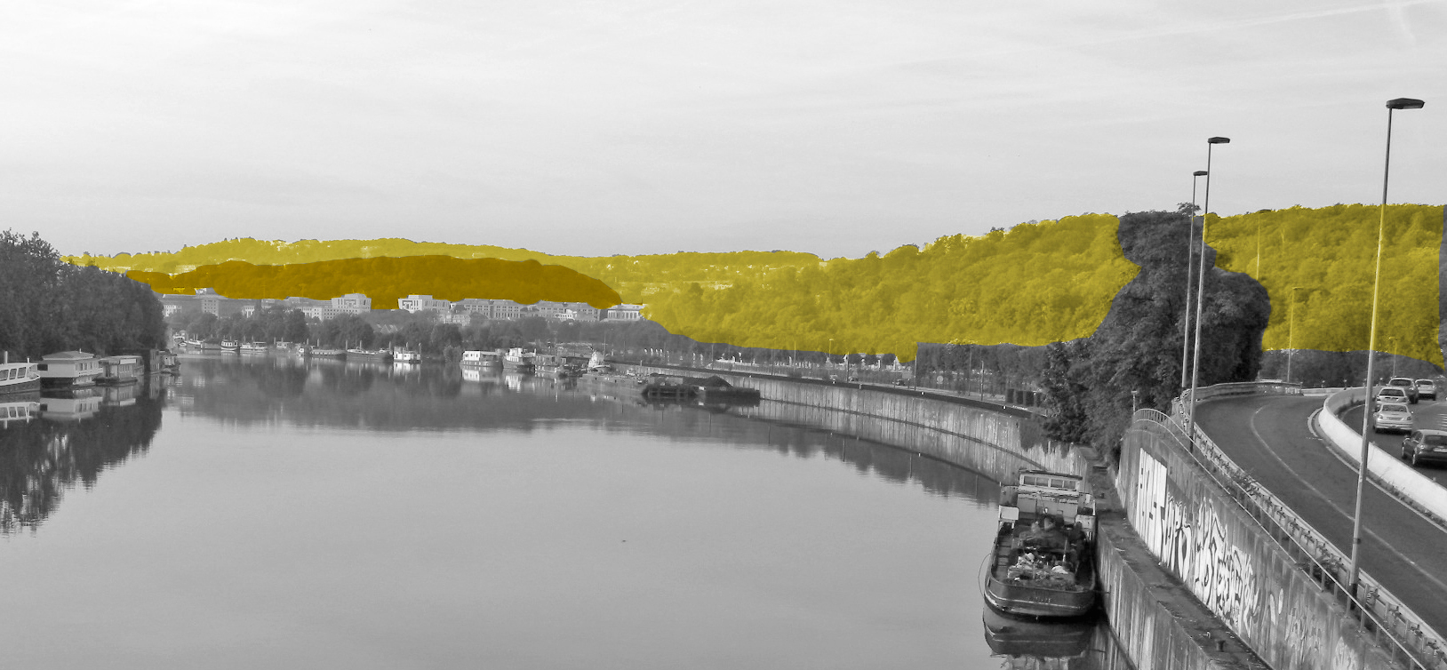 L’horizon boisé de Saint-Cloud, Brimborion et Meudon, depuis le pont de Saint-Cloud