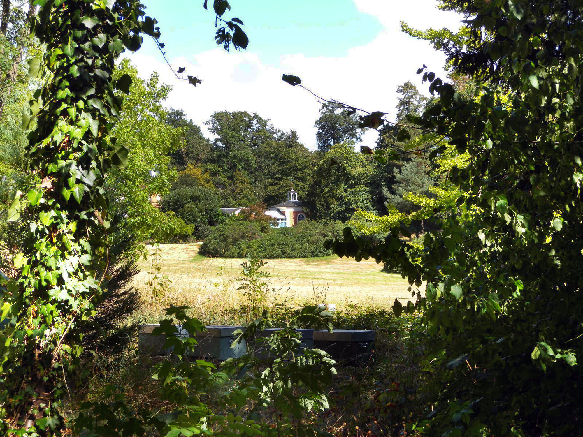 Le parc de la Vallée-aux-Loups à Châtenay-Malabry