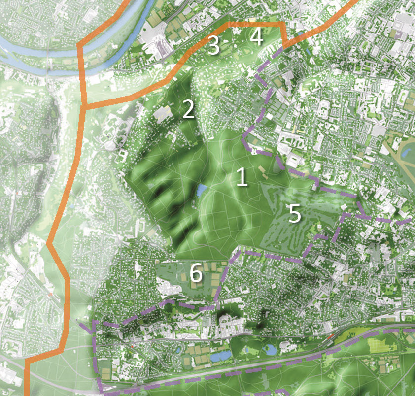 Carte de la végétation