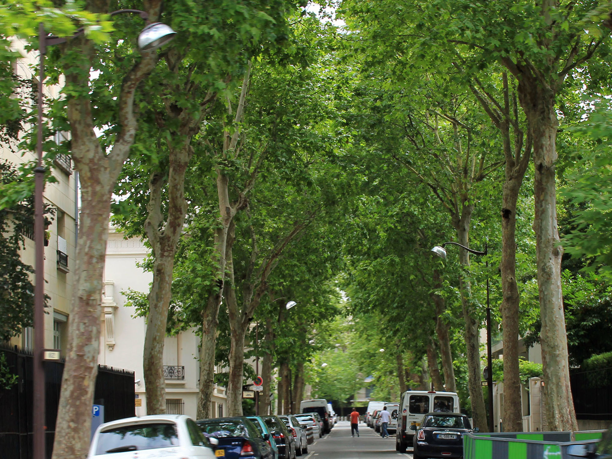 Une avenue arborée de Neuilly-sur-Seine en grand format (nouvelle fenêtre)