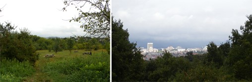 PNU de la Malmaison, le point de vue du Vert Bois  en grand format (nouvelle fenêtre)